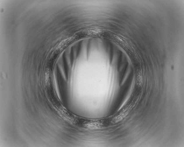 X0000059250468200511041338