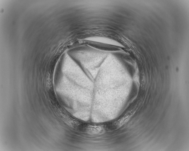 X0000059250469200511041338