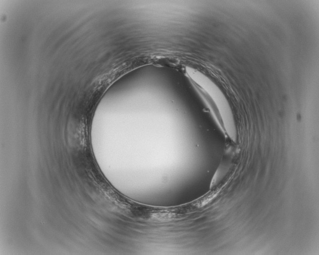 X0000059250470200511041338