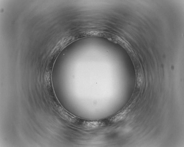 X0000059250473200511041338