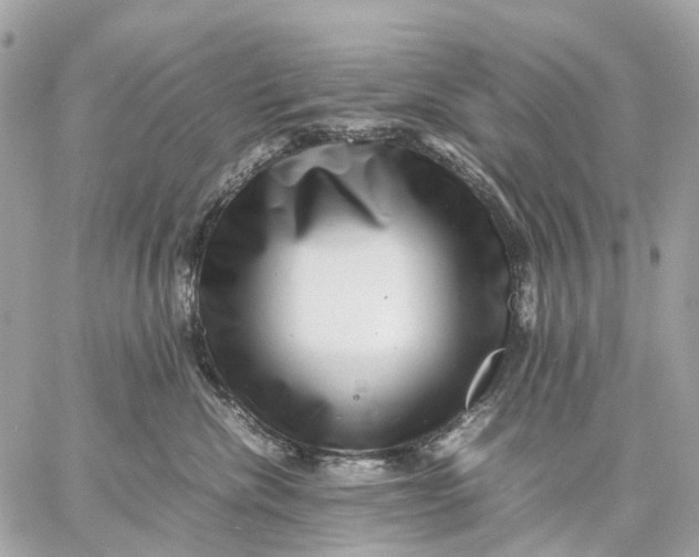 X0000059250476200511041338