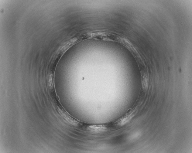 X0000059250477200511041338