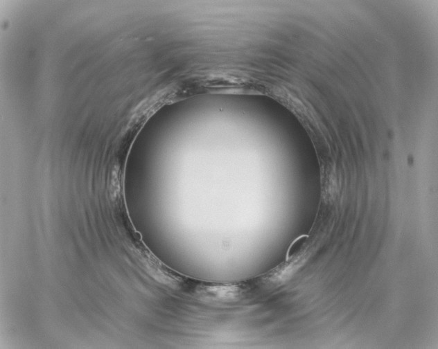 X0000059250478200511041338