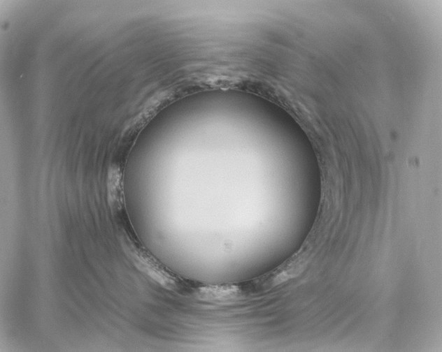 X0000059250480200511041338