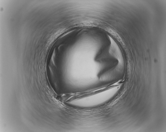 X0000059250481200511041338