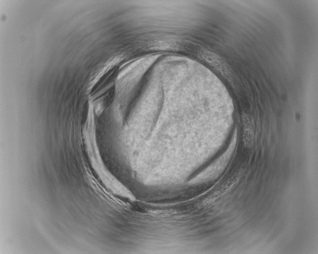 X0000059250482200511041338