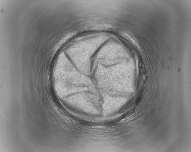 X0000059250483200511041338