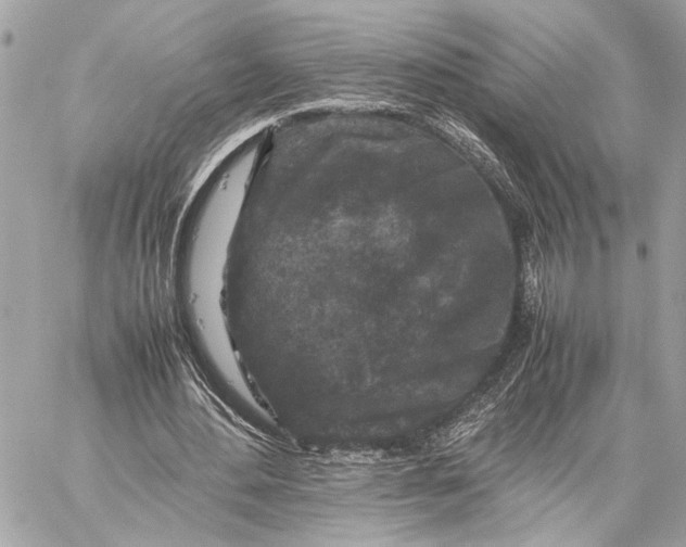 X0000059250484200511041338