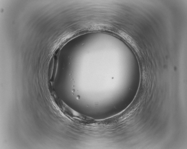 X0000059250485200511041338