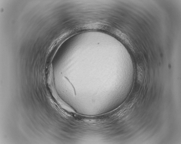 X0000059250486200511041338