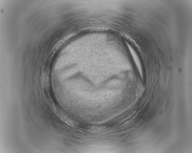 X0000059250487200511041338