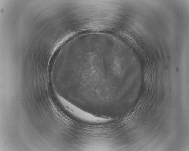 X0000059250488200511041338