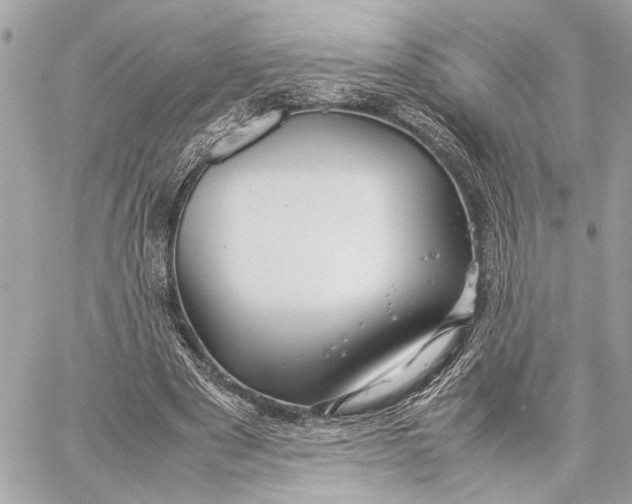 X0000059250489200511041338