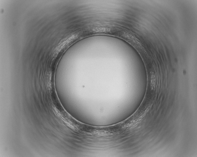 X0000059250490200511041338