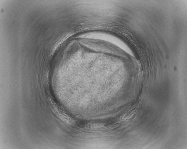 X0000059250491200511041338