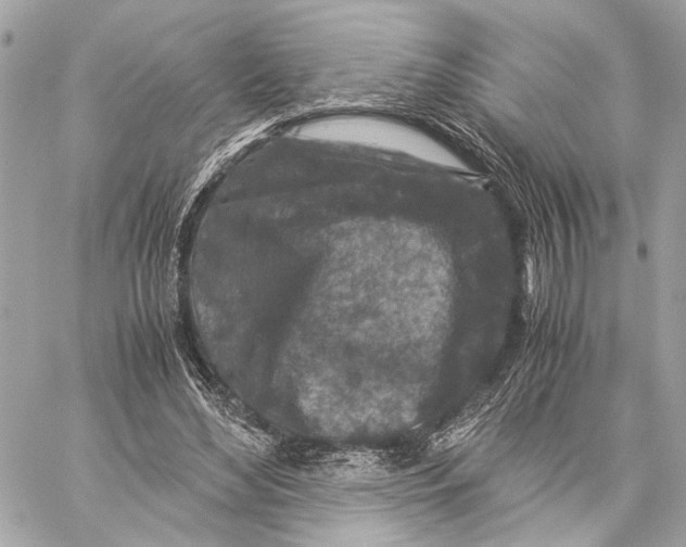 X0000059250492200511041337