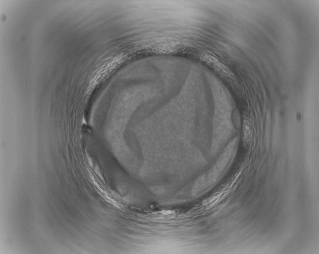 X0000059250493200511041337