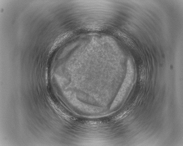 X0000059250494200511041337