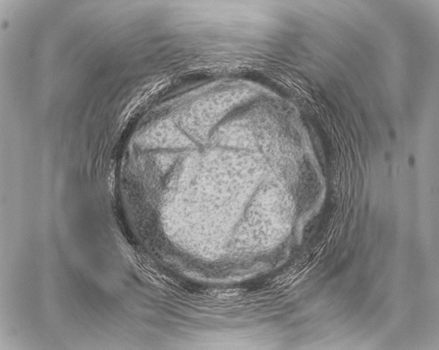 X0000059250495200511041337