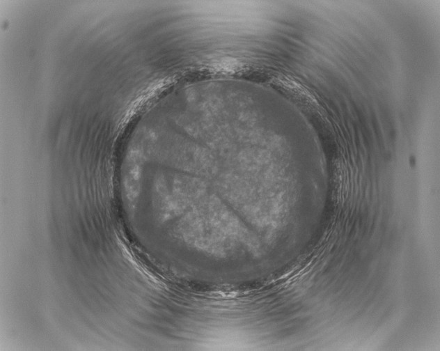 X0000059250496200511041337