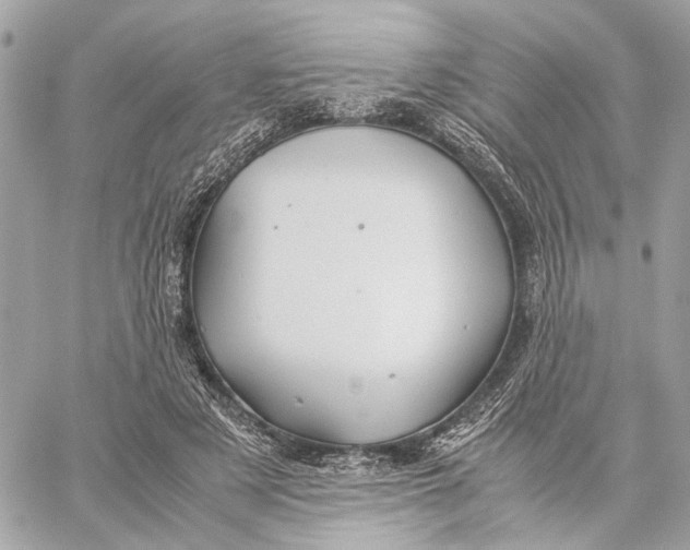 X0000059250497200511041337