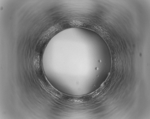 X0000059250498200511041337