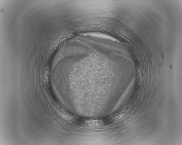 X0000059250499200511041337