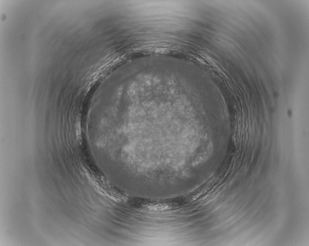 X0000059250500200511041337