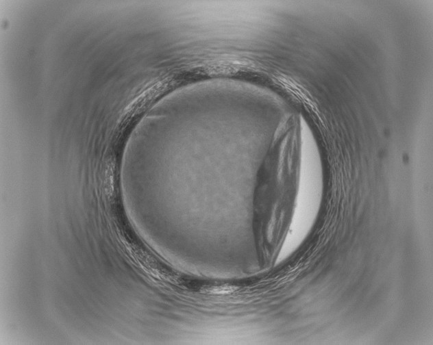 X0000059250501200511041337