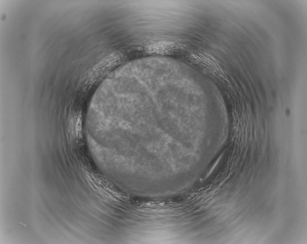 X0000059250502200511041337