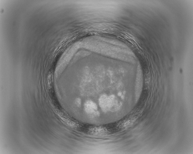 X0000059250503200511041337