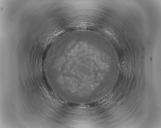 X0000059250504200511041337