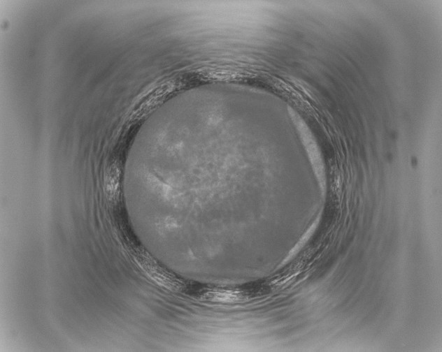 X0000059250507200511041337