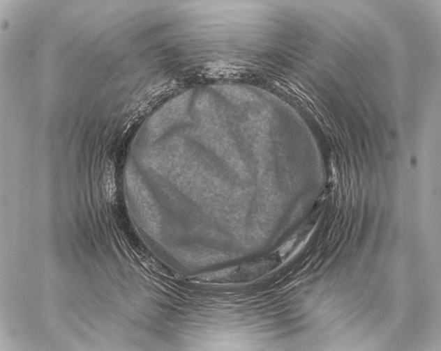 X0000059250508200511041337