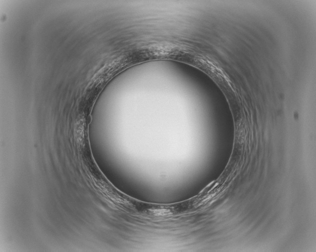 X0000059250509200511041337