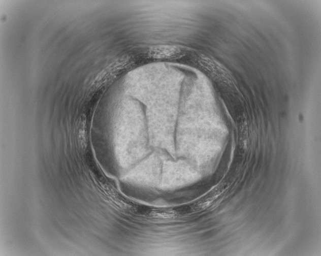 X0000059250510200511041337