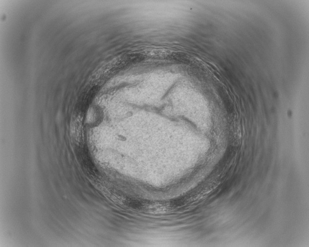 X0000059250511200511041337