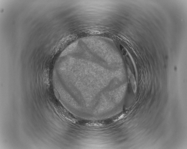 X0000059250512200511041337