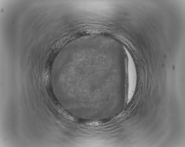 X0000059250513200511041337