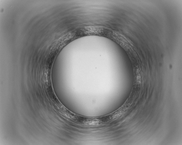 X0000059250514200511041337