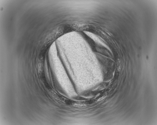 X0000059250515200511041337