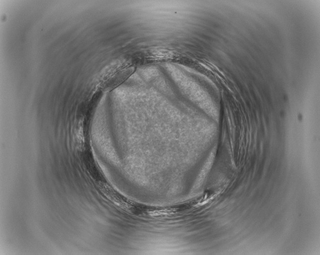 X0000059250516200511041337