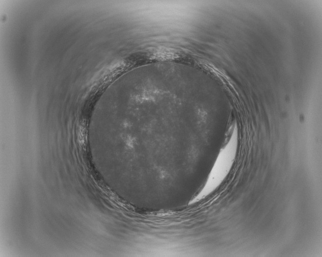 X0000059250517200511041337