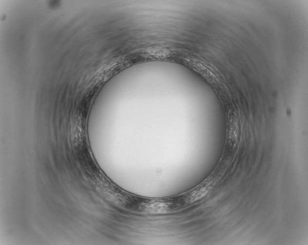 X0000059250518200511041337