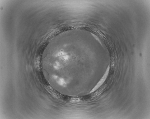 X0000059250519200511041337