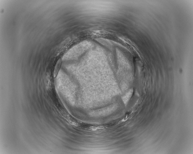 X0000059250520200511041337