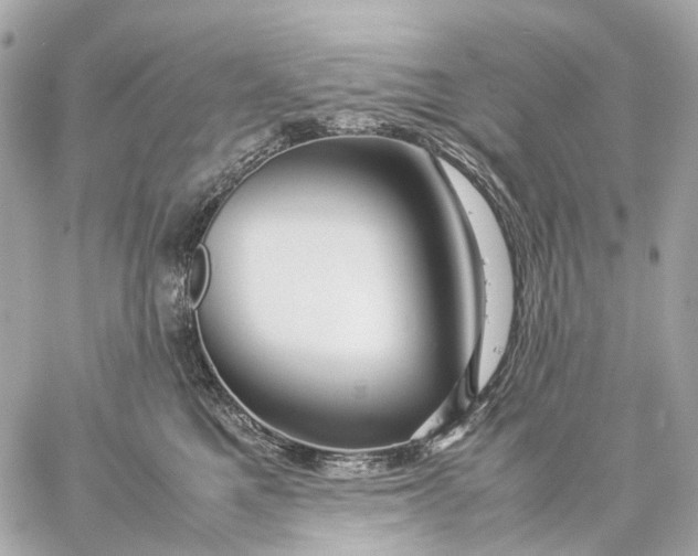 X0000059250521200511041337