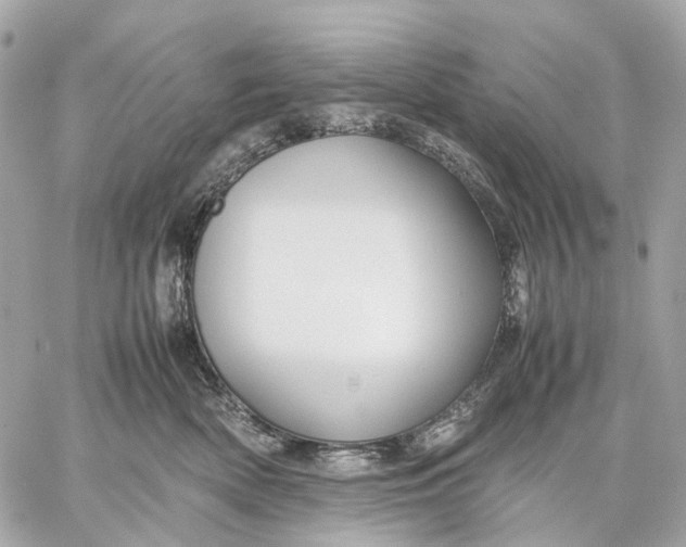 X0000059250522200511041337