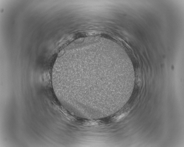 X0000059250523200511041337