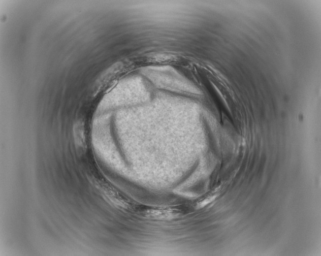 X0000059250524200511041337